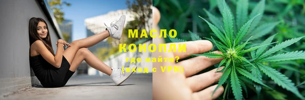 тгк Алзамай